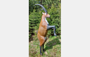 Concours 3D et Championnat départemental 38