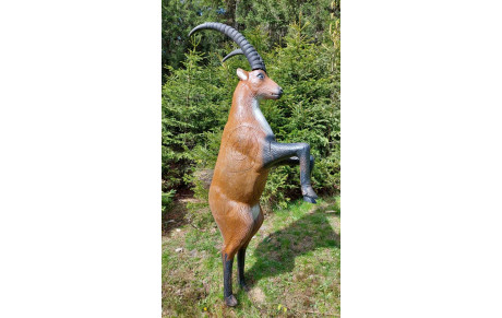 Concours 3D et Championnat départemental 38